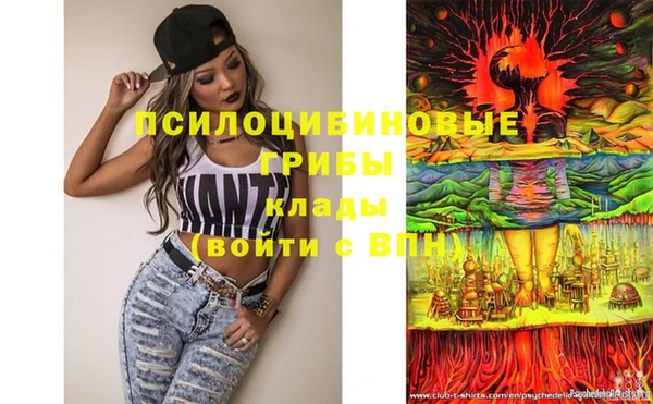 эйфоретик Вязники